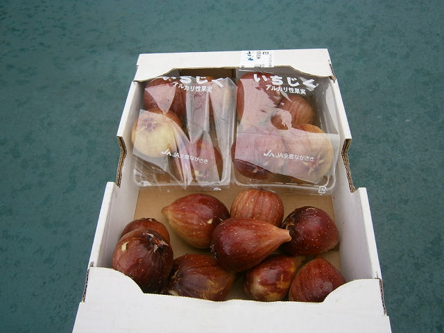 ̂肽